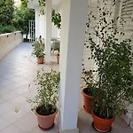 Dariana ماكارسكا