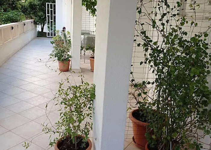 Dariana Μακάρσκα